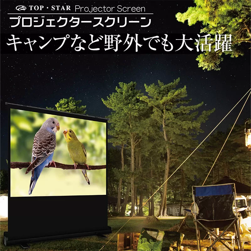 Freestanding Projector Screen 60 Inch 16