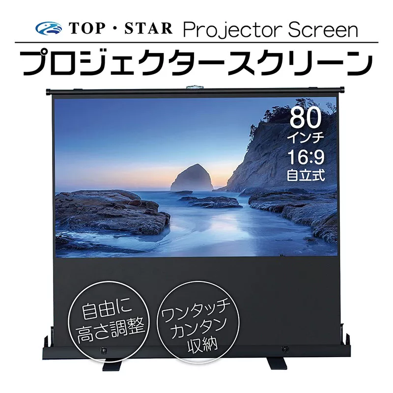 Freestanding Projector Screen 80 Inch 16