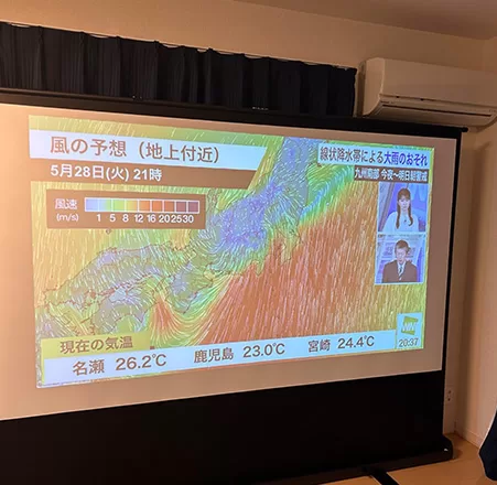 Freestanding Projector Screen